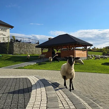 Frühstückspension Perla Pienin Grywald